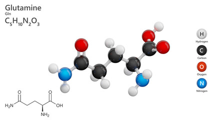 Molecule: Glutamine (Q or Gln). Non-essential amino acid. Molecular structure. Formula: C5H10N2O3. Chemical model: Ball and stick. White background. 3D illustration.