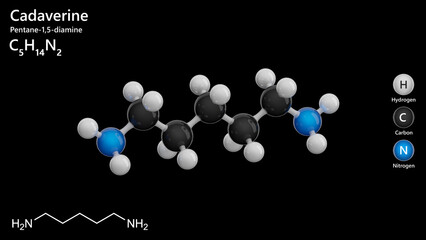 Molecule: Cadaverine. Molecular structure. Formula: C5H14N2. Chemical model: Ball and stick. Black background. 3D illustration.
