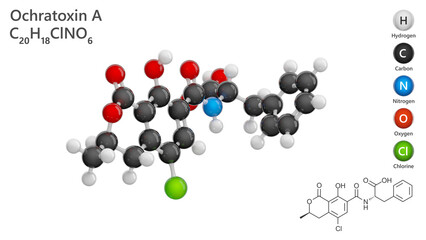 Molecule: Ochratoxin A. Antibiotic 9663. Molecular structure. Formula: C20H18ClNO6. Chemical model: Ball and stick. Black background. 3D illustration.
