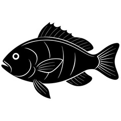 Parrot fish Silhouette On White Background