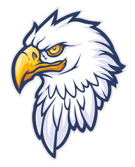 Obraz premium Vector illustration of American bald eagle head.