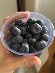 Close-up of fresh blueberries in a clear plastic cup, held by hand. The berries feature a rich, deep blue color and a natural, powdery bloom, ideal for illustrating healthy eating, superfoods.