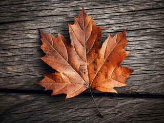 Obraz premium Autumn leaf placed on a wooden table showcasing natural colors and fine details