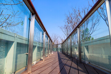Wooden floors and glass parapets on the rooftop