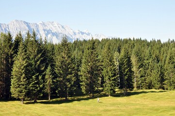 Die Buckelwiesen bei Mittenwald