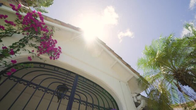 white building facade architecture in Saint Martin Leeward Islands in the Caribbean Sea, sunshine and colorful vegetation with flower and tropica palm tree