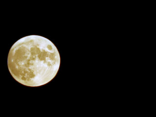 Obraz premium Attractive full moon at night. Thanks to a supermoon we could photograph a so big moon with a smartphone.