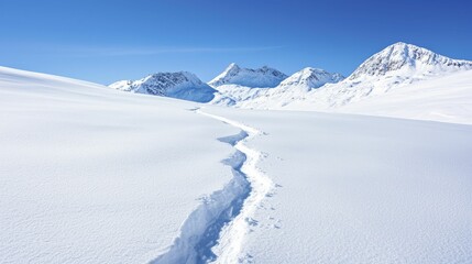 Joint adventures on snowy mountains skiing down thrilling slopes, pure white snow standing out against clear azure skies.