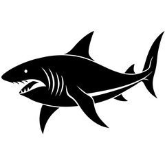 Great Shark Silhouette On White Background