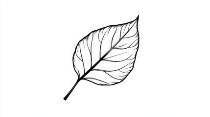 Simple Minimalist Black and White Drawing of a Leaf on White Background