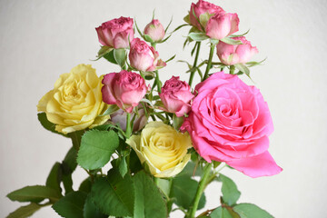 カラフルなばら