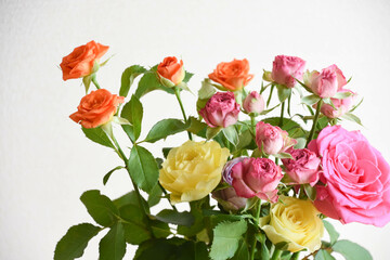 カラフルなばら