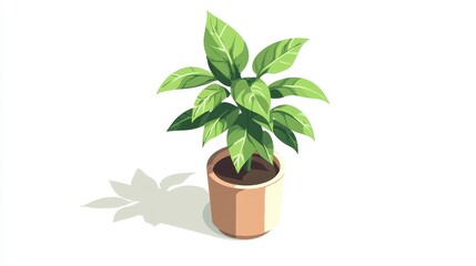 Lush Green Indoor Plant in a Simple Pot on White Background