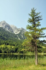 Der Ferchensee bei Mittenwald