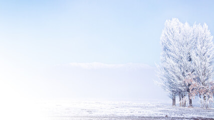 Foggy winter landscape with frosted trees and a serene horizon, Erzurum, Turkey.