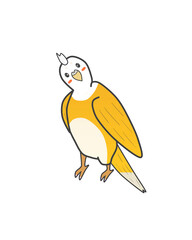 Fototapeta premium Illustration of a cute yellow parakeet