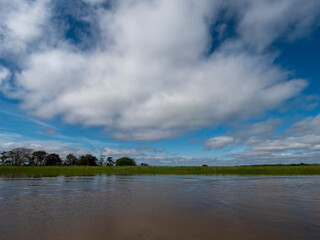 Amazon river landscape.