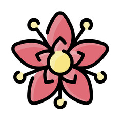 flower isolated on white