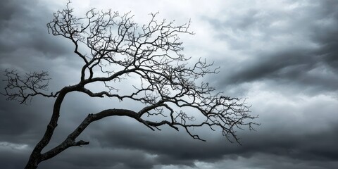 Bare branches of a leafless tree stand out against the backdrop of dark thunderclouds on a gloomy gray day, creating an awesome, depressive landscape during a storm.