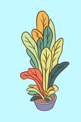 bouquet of lilies