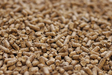 Wood filler for cat toilet, selective focus. Hygienic filler for pets. Pressed wood, large granules. Pellets. A pile of wood pellets. Filler for dogs, cats, domestic rodents