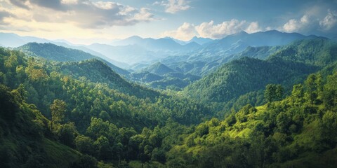 Fototapeta premium A birds eye perspective showcases the vibrant greenery of the forest and the grandeur of the mountains, highlighting the beauty of lush nature and scenic landscapes.