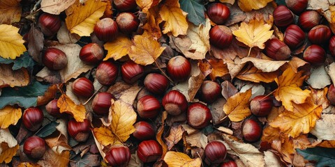 Chestnuts scattered on a leafy ground, showcasing the beauty of nature as chestnuts create a natural carpet among vibrant foliage, highlighting the seasonal charm of fallen chestnuts.