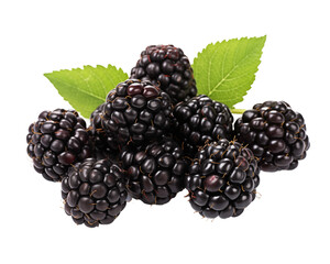 a group of blackberries with leaves