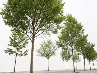 Minimalist Watercolor Side Profile Trees, Isolated Landscape Design Elements