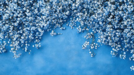 Beautiful flower background of blue gypsophila flowers.