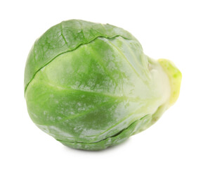 Fresh green Brussels sprout isolated on white