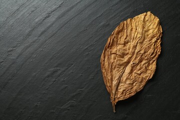 Dried tobacco leaf on black table, top view. Space for text