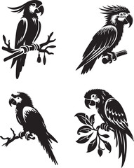 4 Deferent Parrot, silhouette vector art illustration