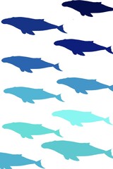 pattern with fish