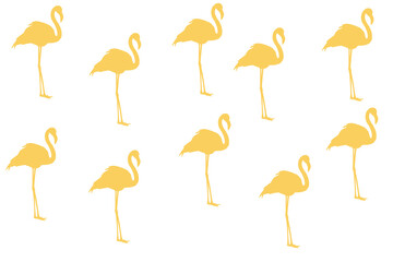 set of birds