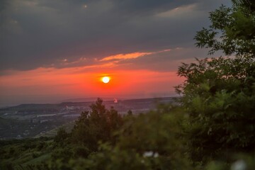 Beautiful view of the sunset. Tree against the background of the setting sun