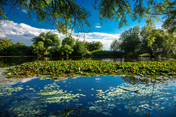 Fototapete bei efototapeten.de bestellen   
