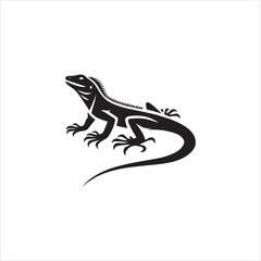 silhouette of a lizard on white