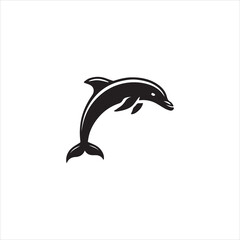 dolphin isolated on white background