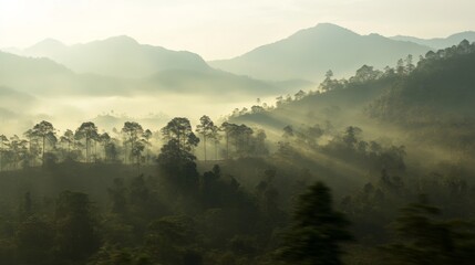 Serene Mountain Landscape with Soft Diffused Lighting