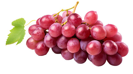 a bunch of grapes with water drops on it