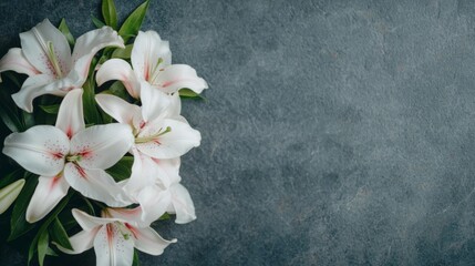 Beautiful white lilies on a textured gray background.