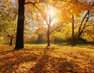 Obraz premium Beautiful autumn landscape with yellow trees and sun. Colorful foliage in the park. Falling leaves natural background