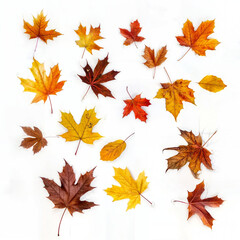 Autumn Leaves Pattern: A whimsical arrangement of vibrant autumn leaves, showcasing the changing colors of the season.