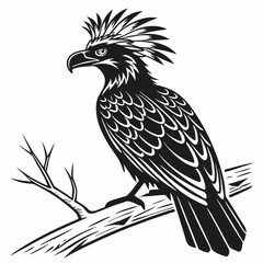 Umbrellabird vector silhouette black design white background