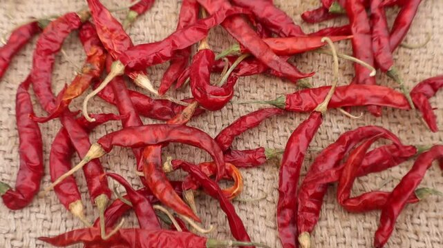 Whole red chilies (sabut lal mirch) , raw and vibrant, perfect for spice, cooking, and traditional food concepts in rustic settings.