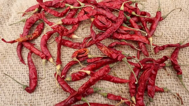 Whole red chilies (sabut lal mirch) , raw and vibrant, perfect for spice, cooking, and traditional food concepts in rustic settings.