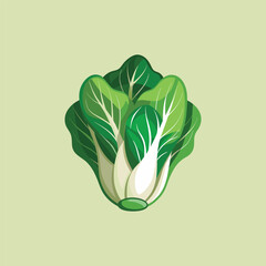 illustration of a vegetable green bok choy