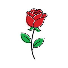 red rose vector isolated on white