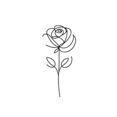 hand-drawn rose on a white background